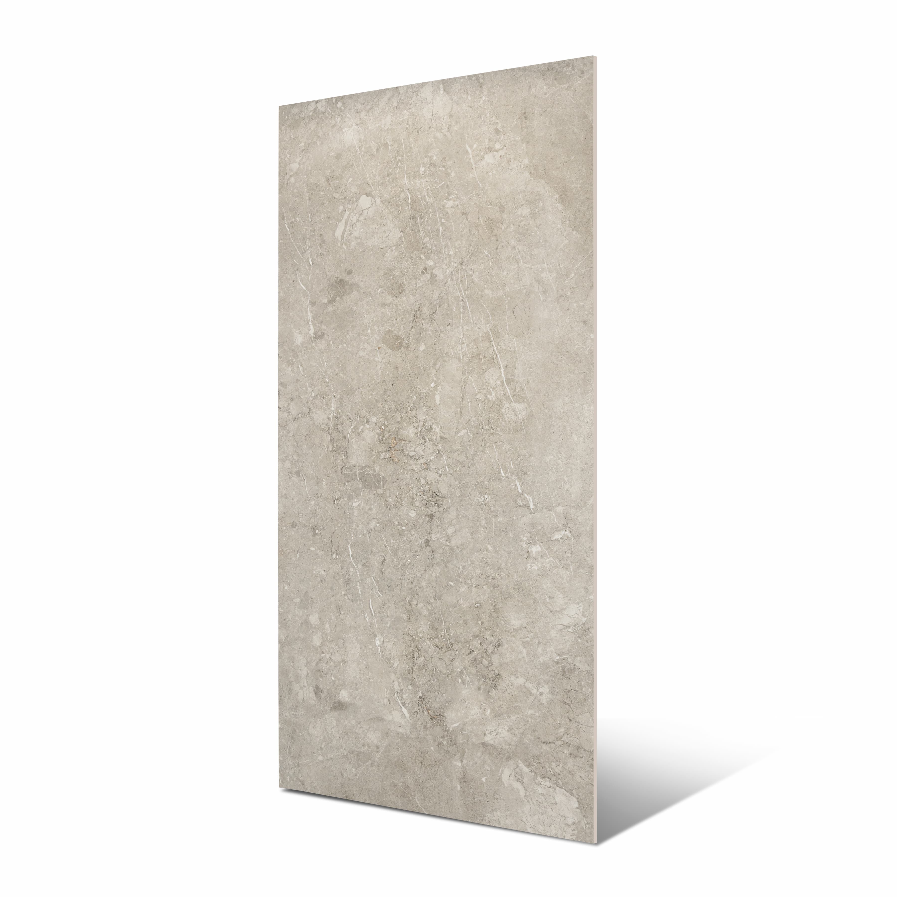 Element Coach Smoke porcelain slab flat view showing warm grey limestone-look surface with scattered fossil aggregate and white veining