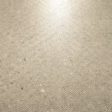 Close-up of Element Arsenica Ivory porcelain slab showing refined ivory surface with delicate mineral speckle and warm neutral undertones