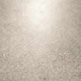 Close-up of Element Arsenica Grey porcelain slab showing refined grey surface with delicate mineral speckle and cool neutral undertones