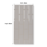 White 25L Civory 30x60cm 09mm Porcelain Tile