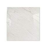 CAVALLO – 120x120cm glossy porcelain tile with sleek marble look. Large format tile designed for modern, stylish interiors with durability and shine.