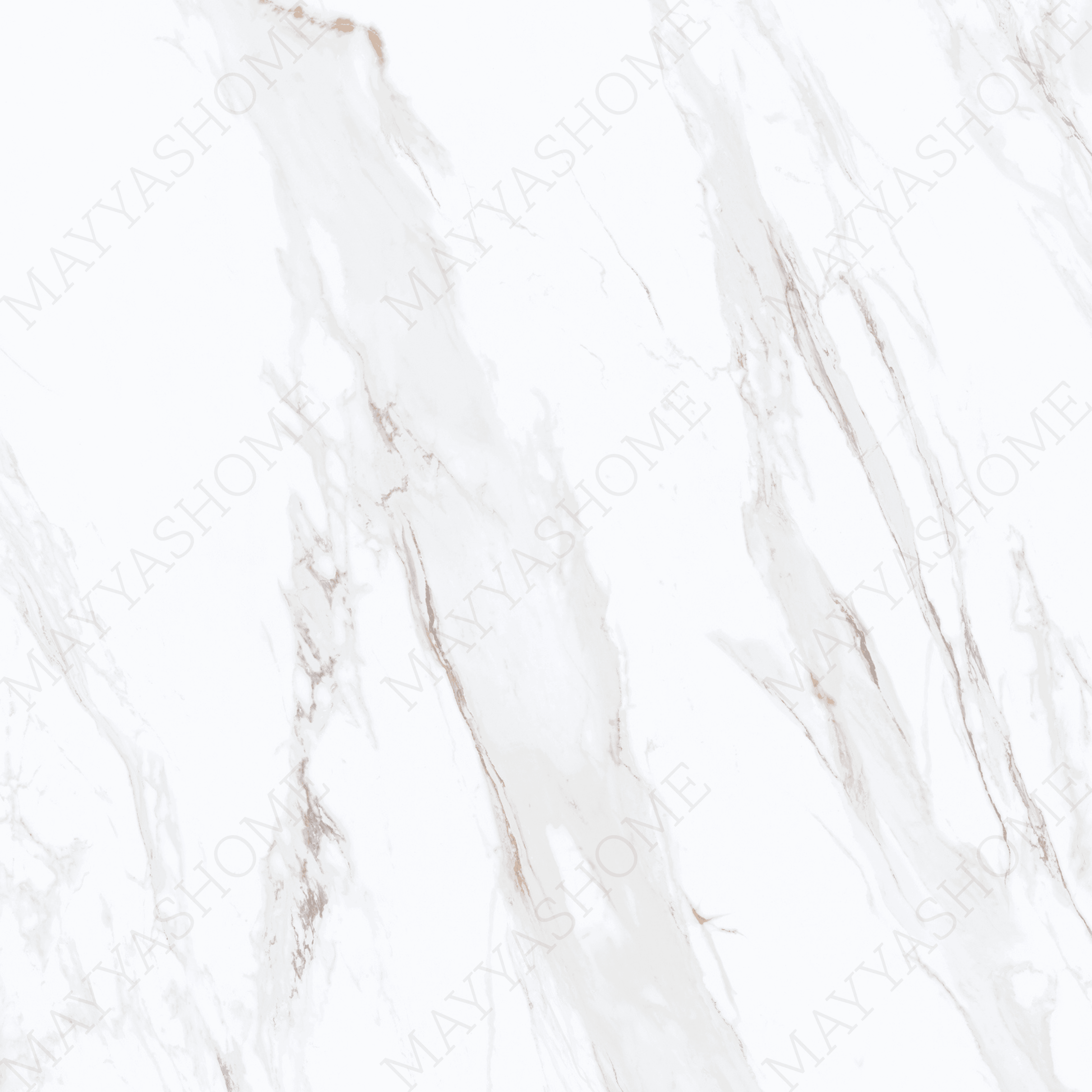 CALACUTTA GOLD 120x278cm marble look tile with exquisite veining and a luxurious glossy finish. A premium large format tile for elegant interiors.