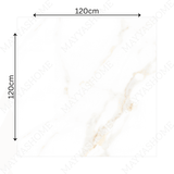 Cecelia Gold 120x120cm matt porcelain tile with soft cream base and golden veining. Elegant, durable, and ideal for modern luxury interiors.