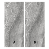 FRAPPUCCINO GREY 120x278cm grey stone look tile with subtle texture and a refined matt finish. A premium large format tile for modern interiors.