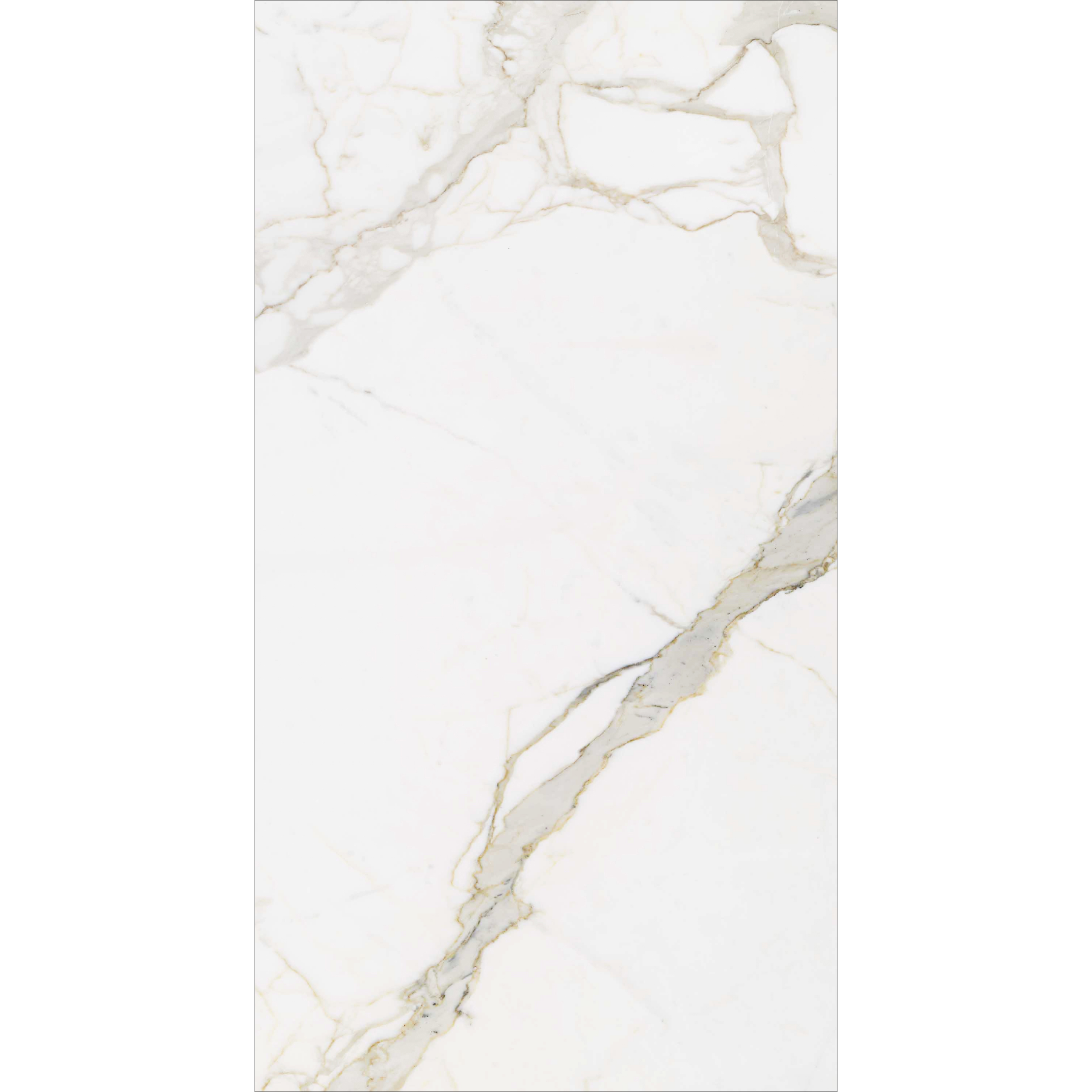 StatuarioLatte160X320cm12mm