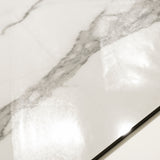 Close-up of Alps Natural glossy porcelain tile showing mirror-polished white marble surface with detailed grey vein clusters and 9mm thickness
