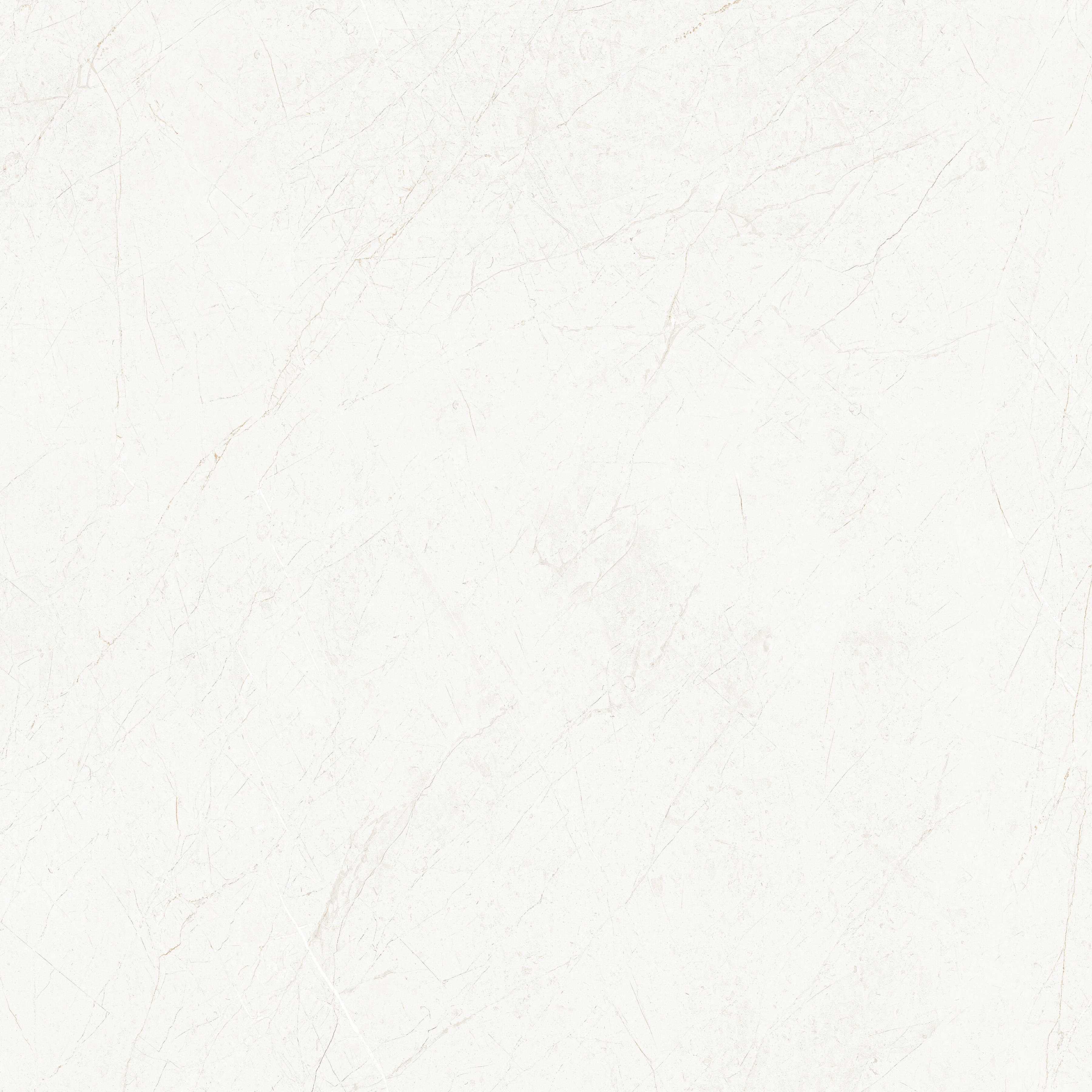 Elegent Crema 120x120cm matt porcelain tile with warm creamy tones. Durable, elegant, and perfect for modern floors and walls.