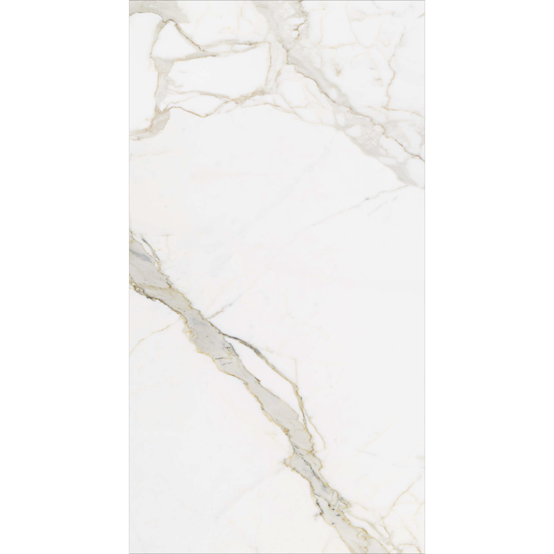 StatuarioLatte160X320cm12mm_2